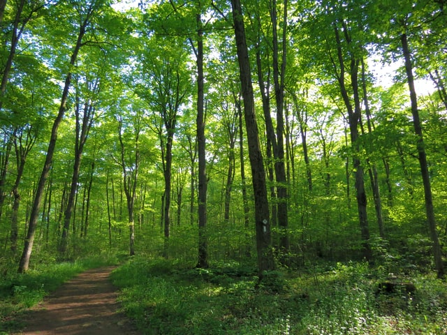 toronto party bus for hiking trip