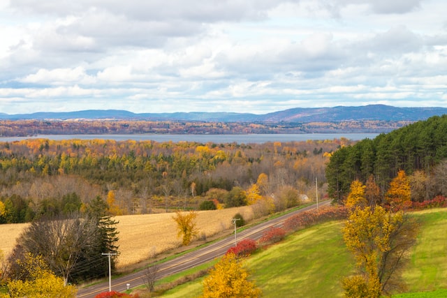 Moving to Rural Ontario